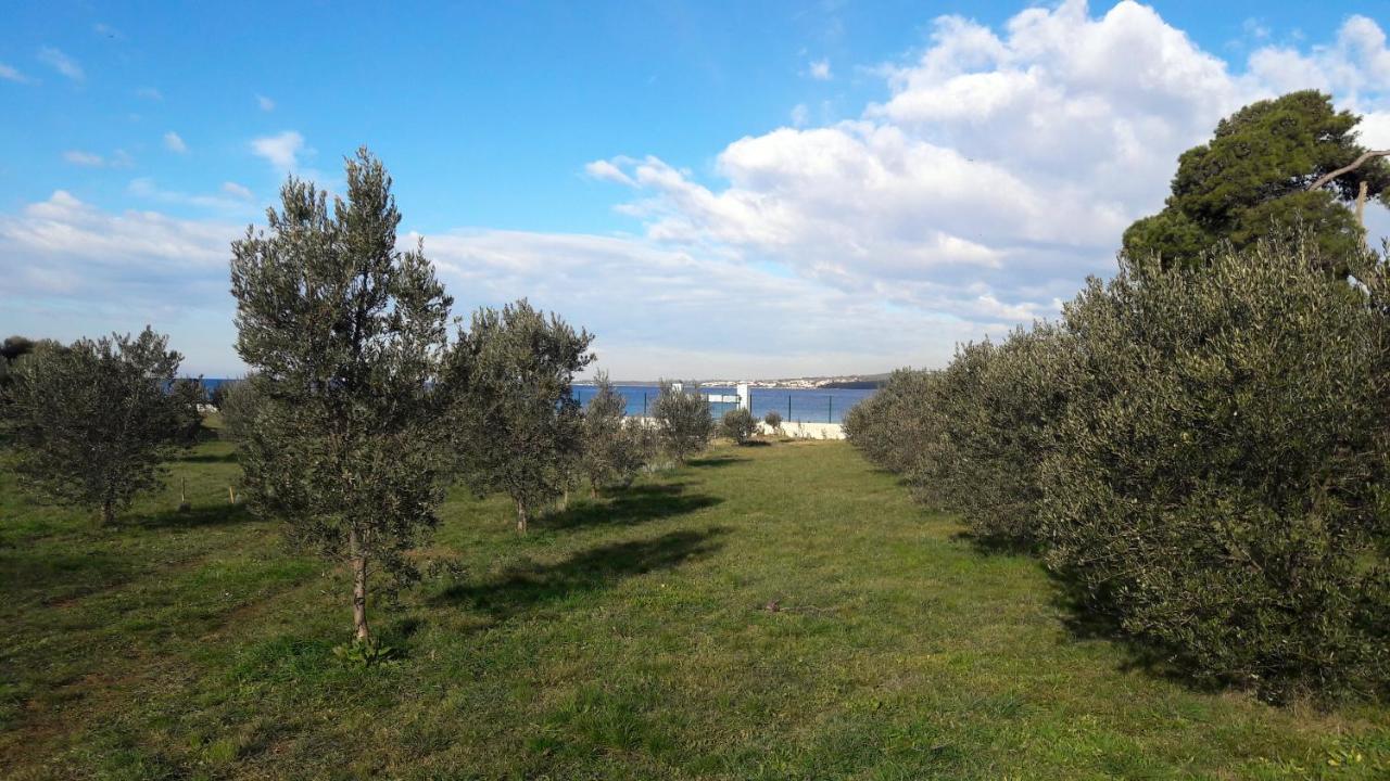 Villa Rosemary Park Zadar Zewnętrze zdjęcie