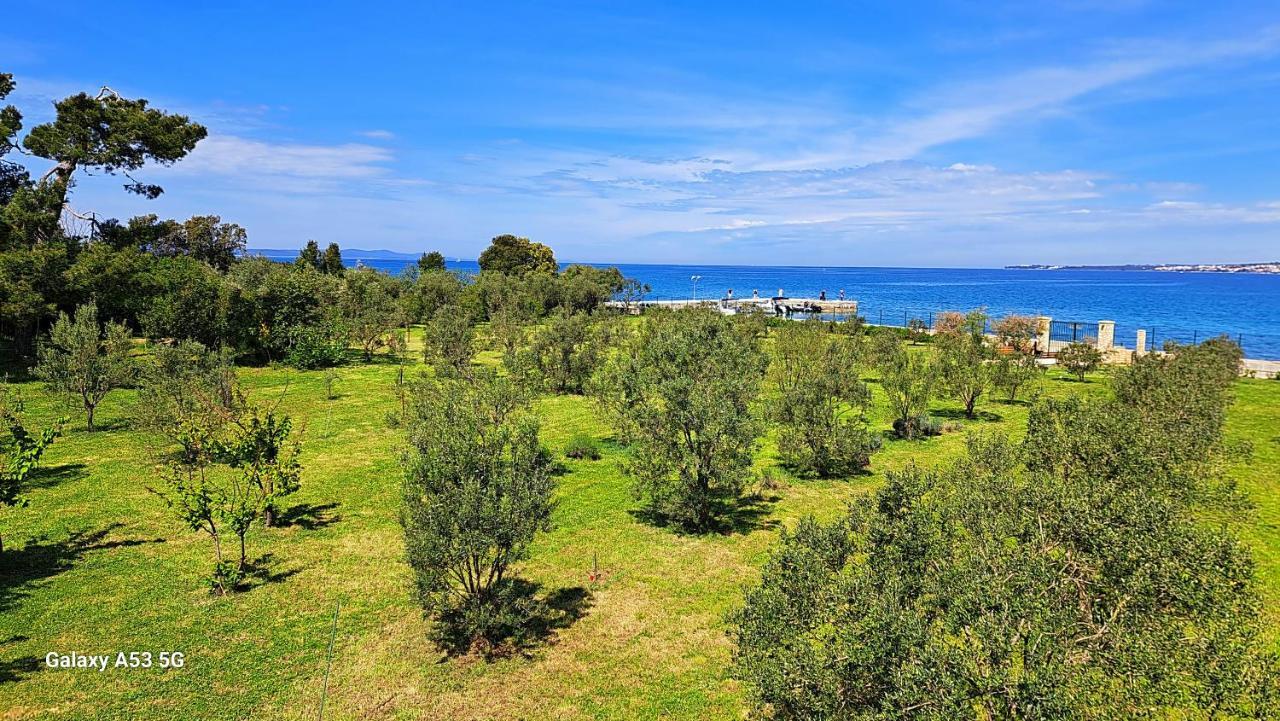 Villa Rosemary Park Zadar Zewnętrze zdjęcie